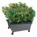 City Pickers Raised Bed Grow Box, Self Watering and Improved Aeration, Mobile Unit with Casters, Slate 2346-1HD